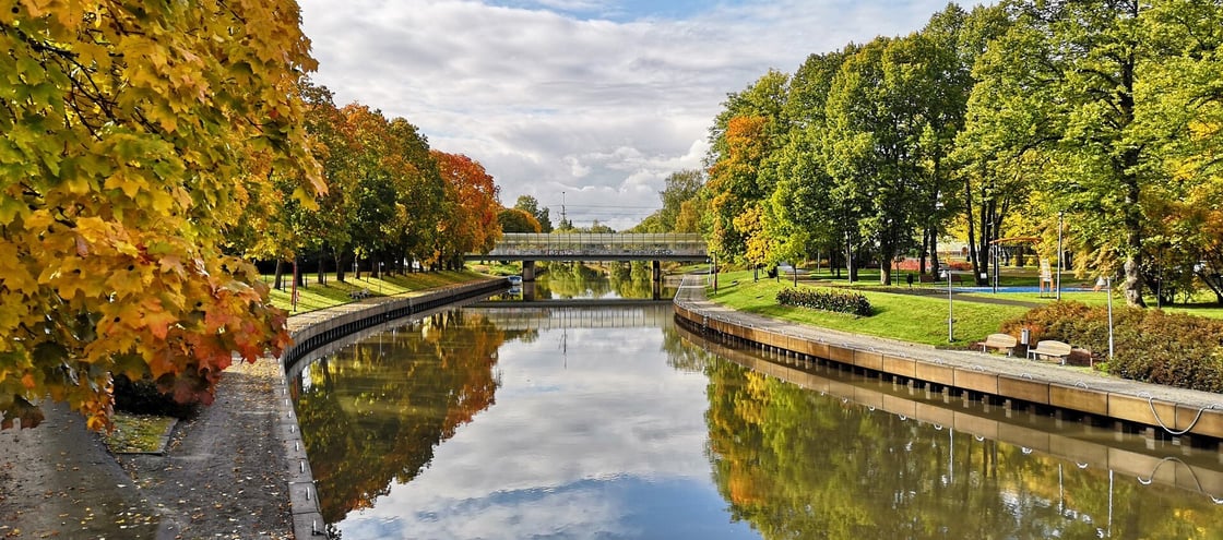 Salonjoki