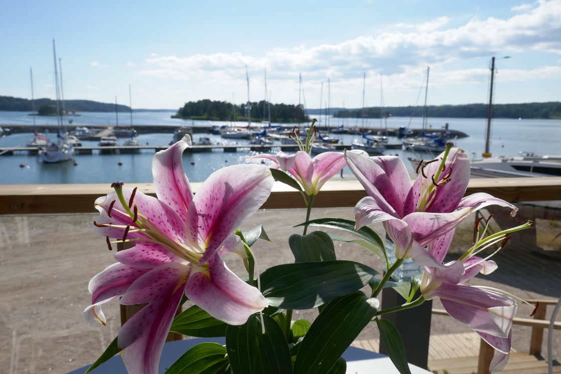 Särkisalo Förby