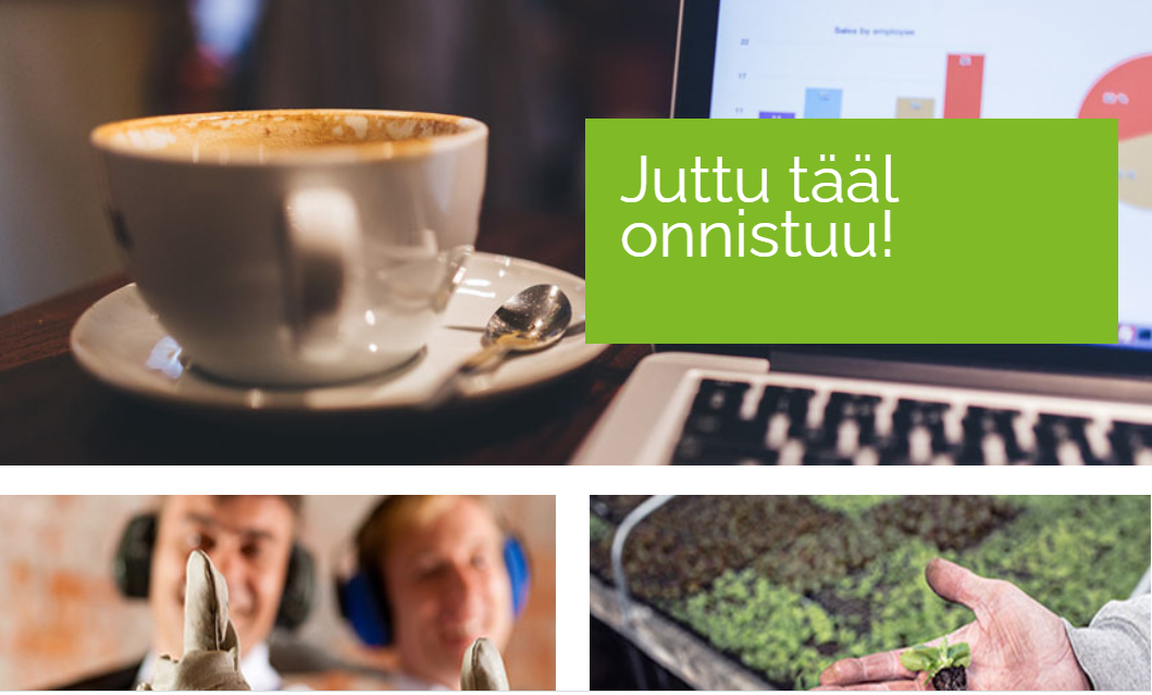 Somerokuva netistä