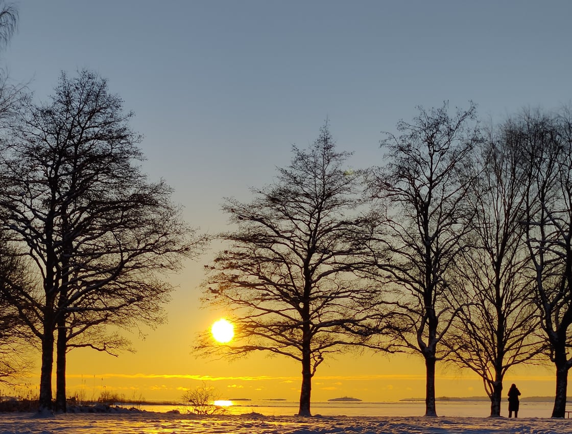 Talviaurinko