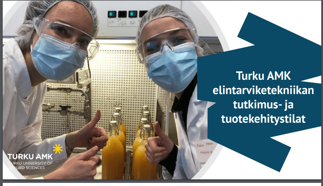 Turku amk